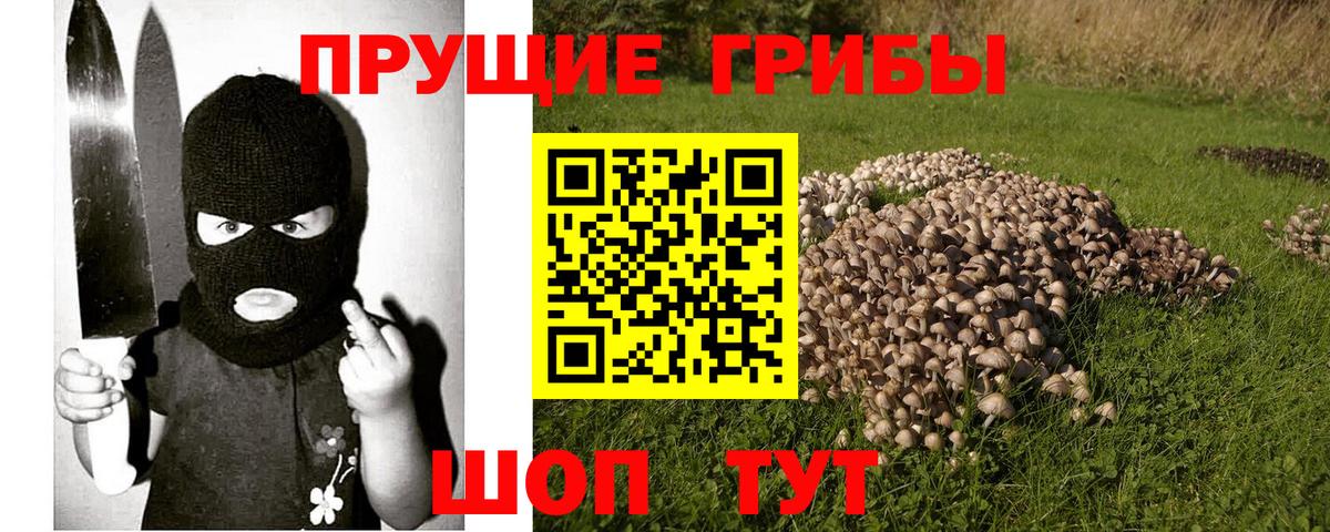 Владикавказ  Псилоцибиновые грибы GOLDEN TEACHER  купить  сайты  Вход с VPN  Галлюциногенные грибы Psilocybine cubensis 